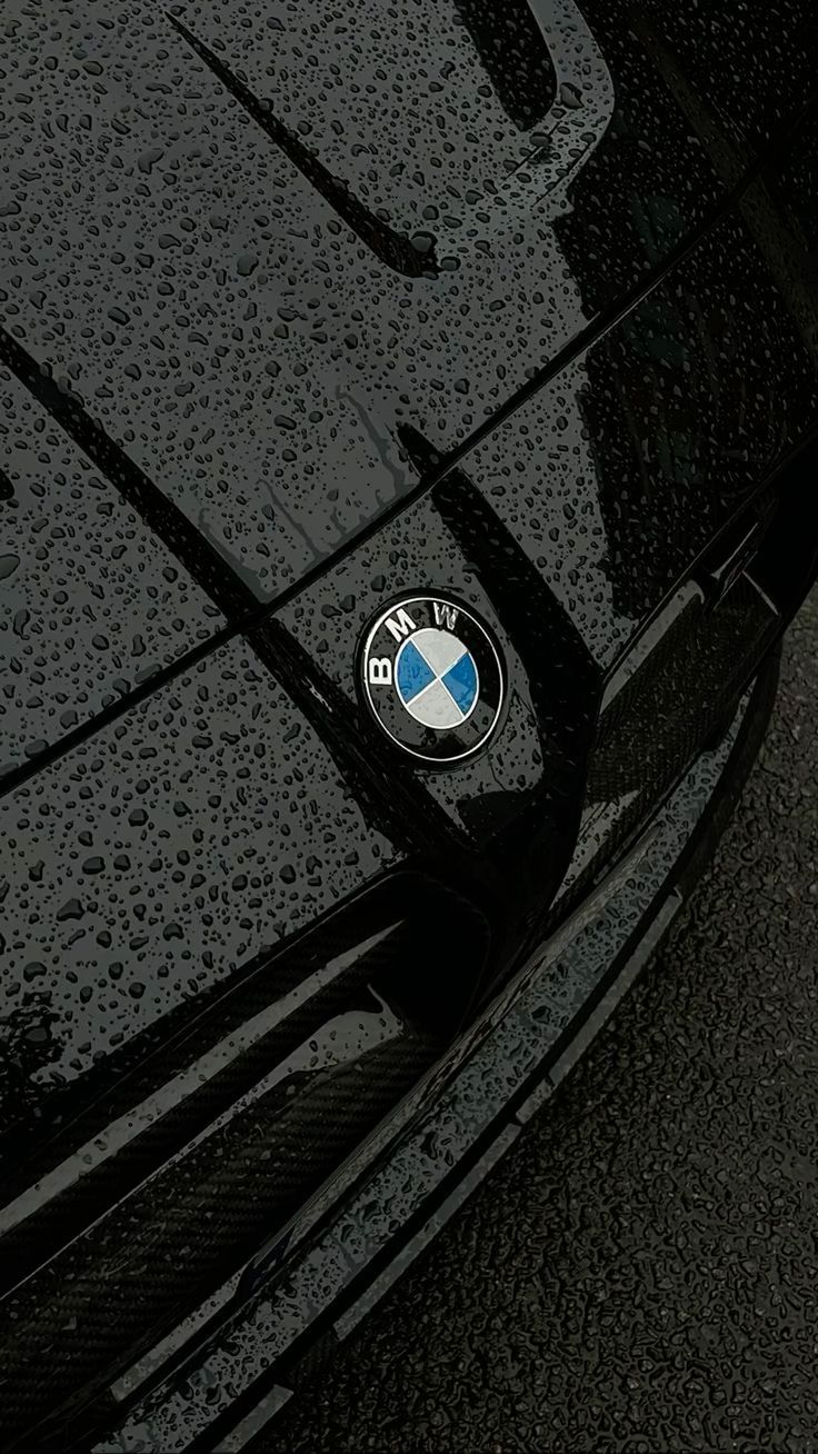 Logo/Badge - BMW AutoTouch   AutoTouch