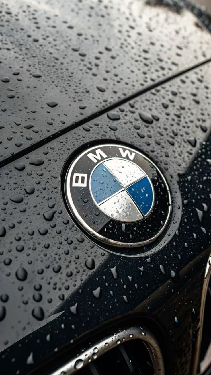 Logo/Badge - BMW AutoTouch   AutoTouch